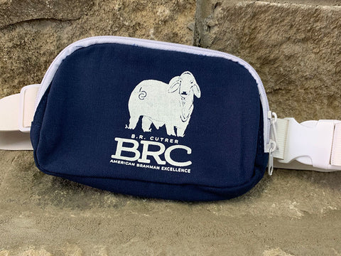 BRC Belt Bag