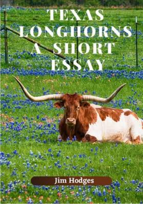 Texas Longhorns: A Short Essay