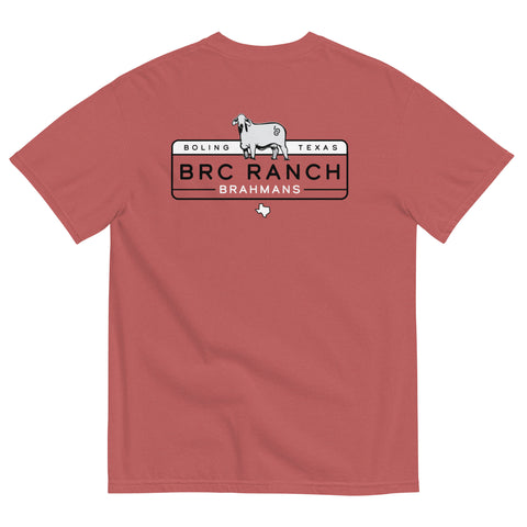BRC 805 License Plate T-shirt