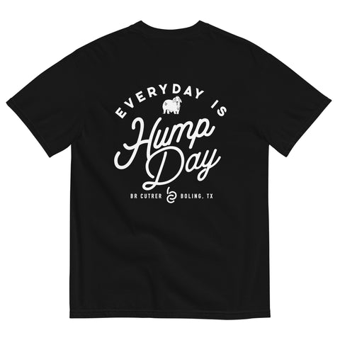 BRC Every Day Is Hump Day Black T-Shirt