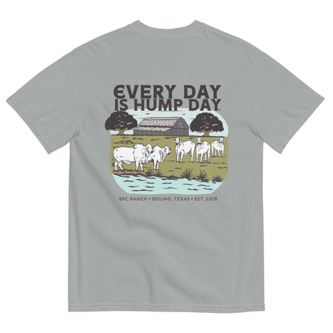 BRC Every Day is Hump Day Pasture Scene T-Shirt