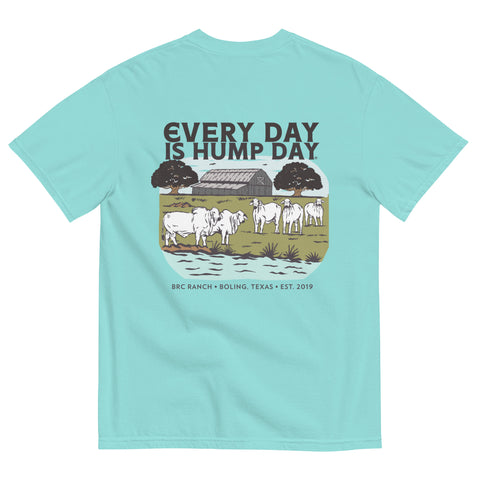 BRC Every Day is Hump Day Pasture Scene T-Shirt