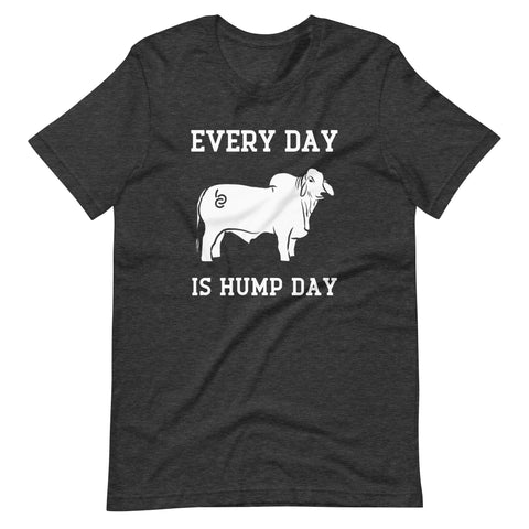 BRC Every Day is Hump Day Original Design T-Shirt