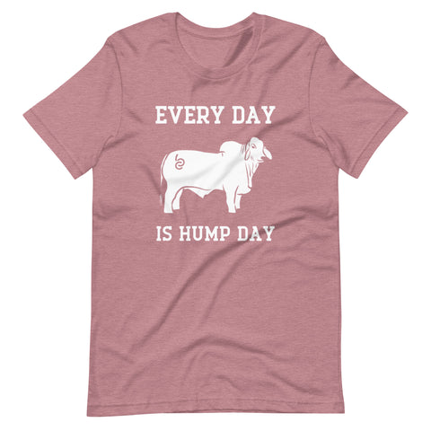 BRC Every Day is Hump Day Original Design T-Shirt